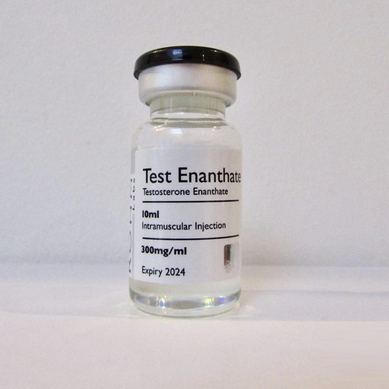 Test Enanthate 300 RohmLabs