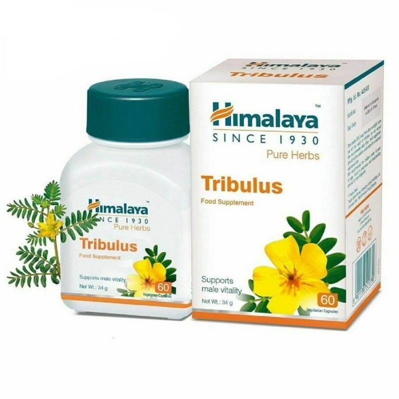 himalaya tribulus testosterone levels, libido 60 tablets himalaya tribulus testosterone levels, libido 60 tablets